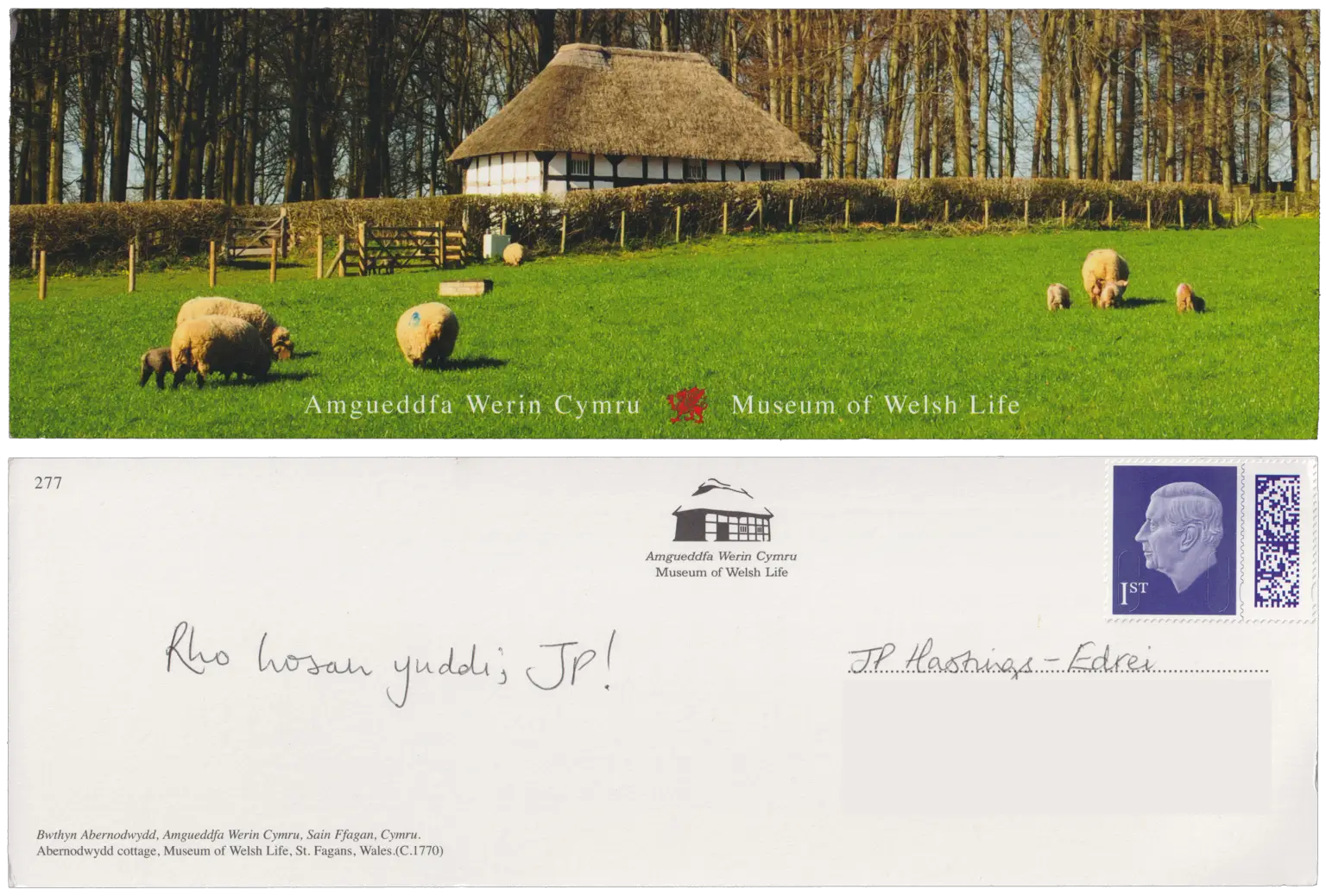 Both sides of a postcard. On the front: A green pasture with sheep in it with a thatched Georgian house and wood behind it. The text "Amgueddfa Werin Cymru · Museum of Welsh Life" is at the bottom. On the back: Rho hosan yuddi, JP!